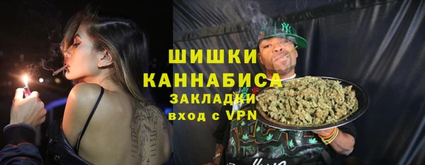 ПСИЛОЦИБИНОВЫЕ ГРИБЫ Белокуриха
