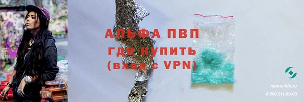 ПСИЛОЦИБИНОВЫЕ ГРИБЫ Белокуриха