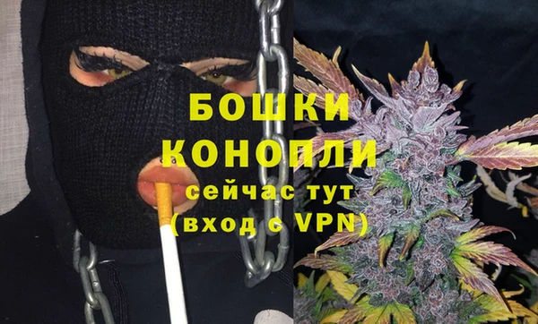 ПСИЛОЦИБИНОВЫЕ ГРИБЫ Белокуриха