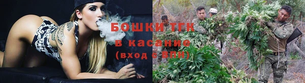ПСИЛОЦИБИНОВЫЕ ГРИБЫ Белокуриха