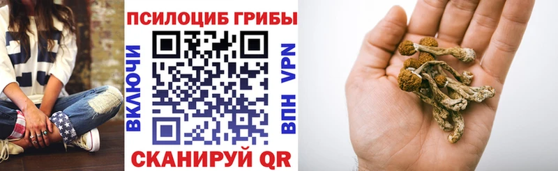 Псилоцибиновые грибы прущие грибы  blacksprut ссылка  Кодинск 
